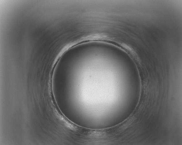 X0000080131374200612151727