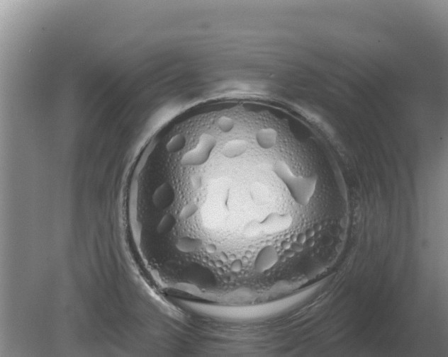 X0000080131375200612151727