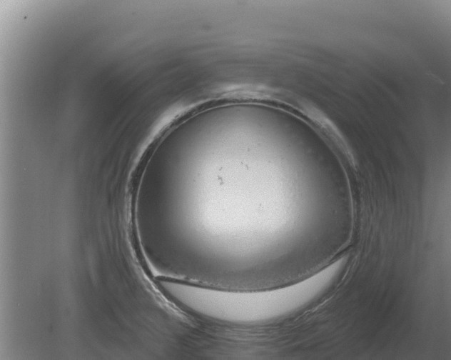 X0000080131376200612151727