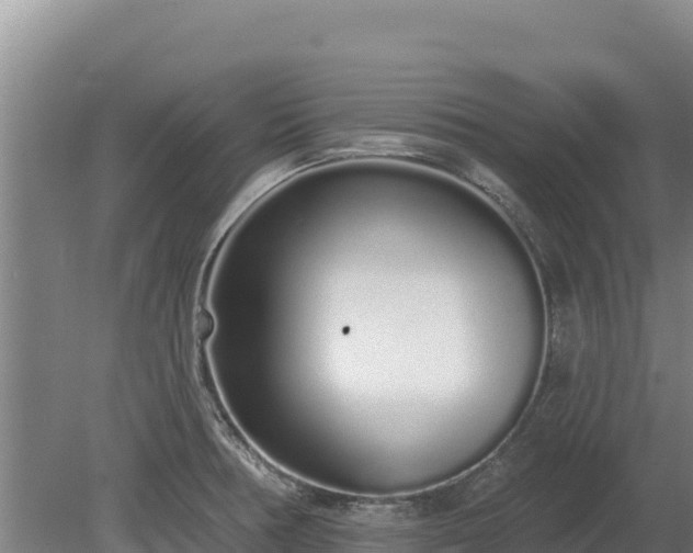 X0000080131378200612151727