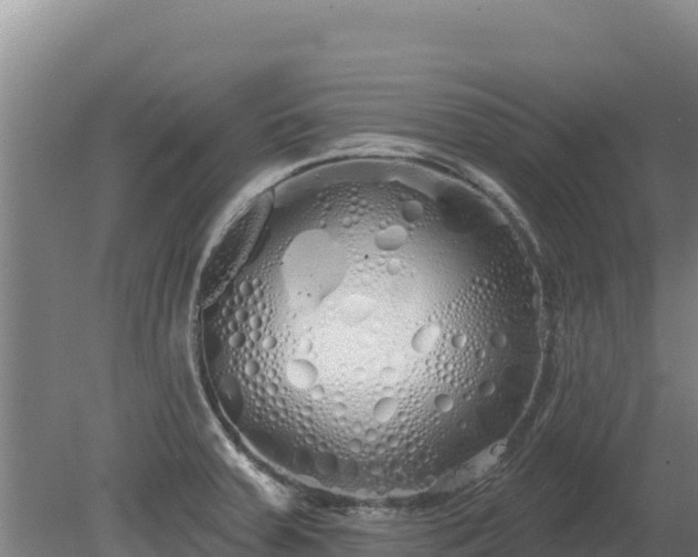 X0000080131379200612151727