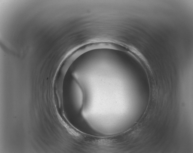 X0000080131380200612151727