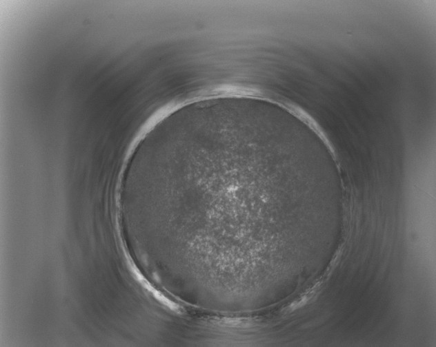 X0000080131381200612151727