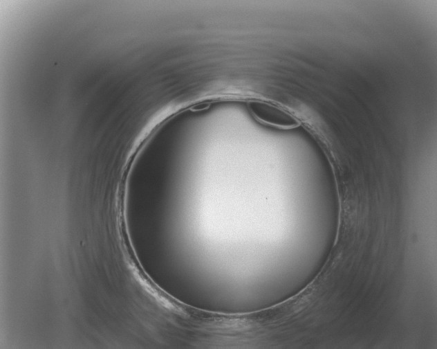 X0000080131382200612151727