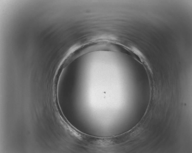 X0000080131384200612151727