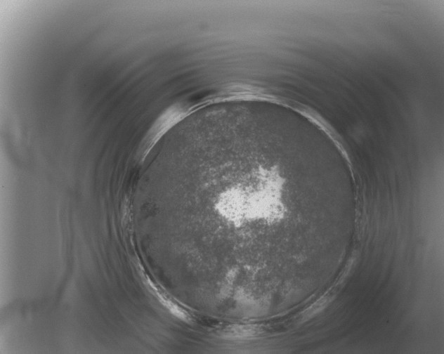 X0000080131385200612151727