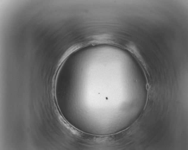 X0000080131386200612151727