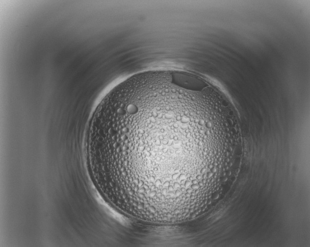 X0000080131387200612151727