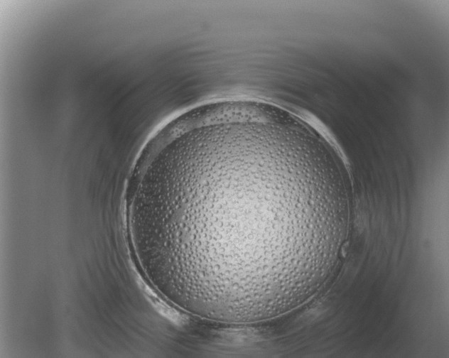 X0000080131388200612151727