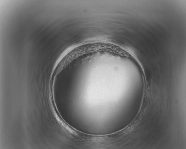 X0000080131389200612151727