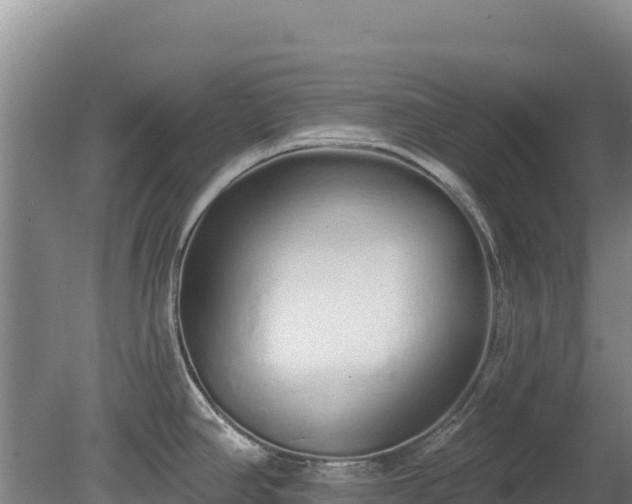 X0000080131390200612151727