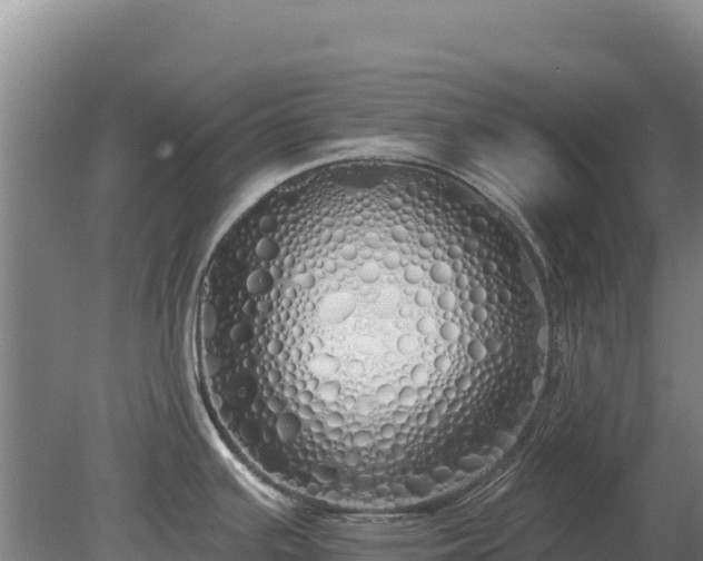 X0000080131391200612151727