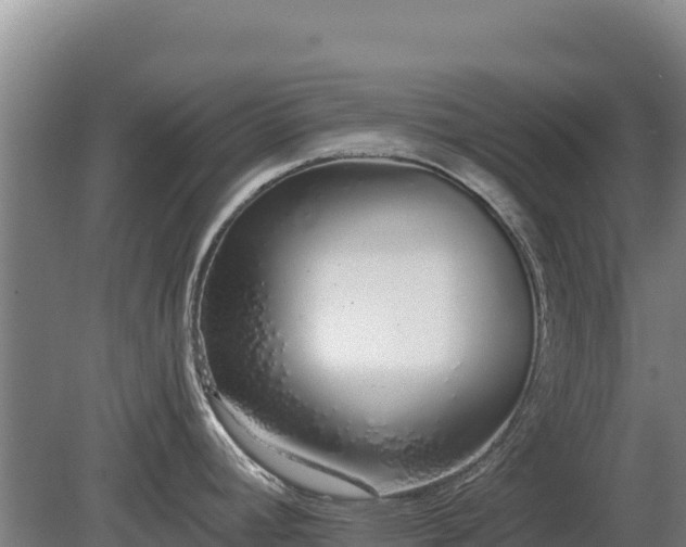 X0000080131392200612151727