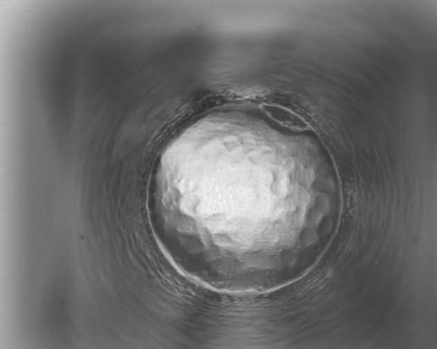 X0000080131393200612151726