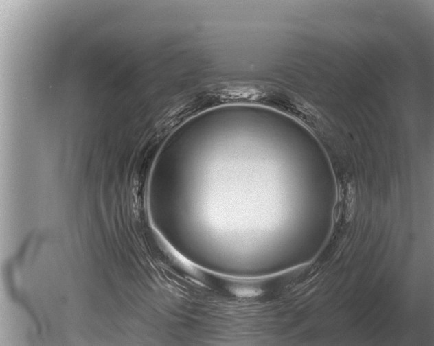 X0000080131394200612151726