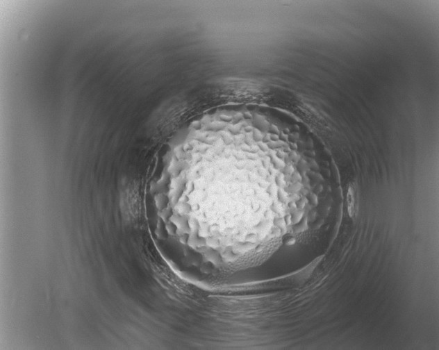 X0000080131395200612151726