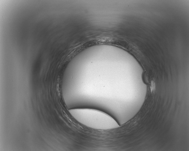 X0000080131396200612151726