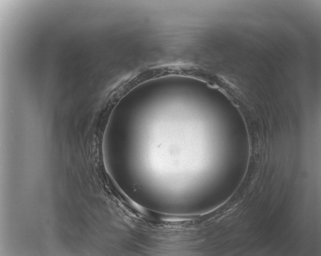 X0000080131398200612151726