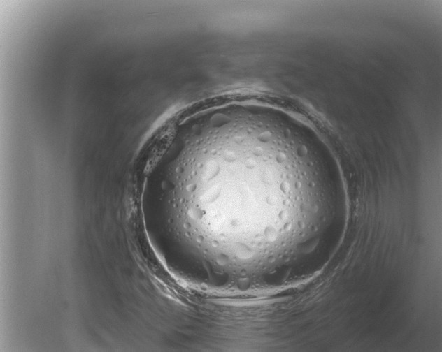 X0000080131400200612151726