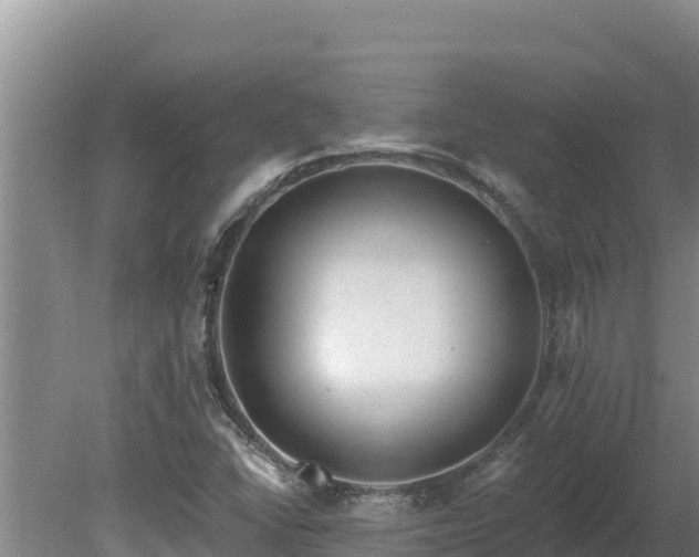 X0000080131406200612151726