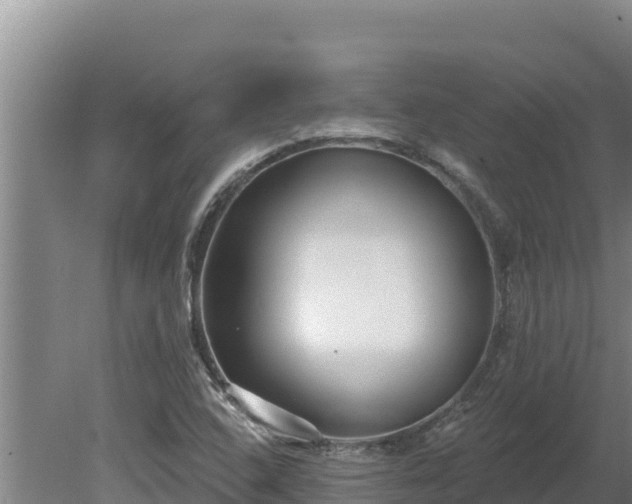 X0000080131408200612151726