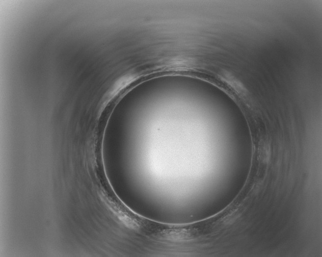 X0000080131410200612151726