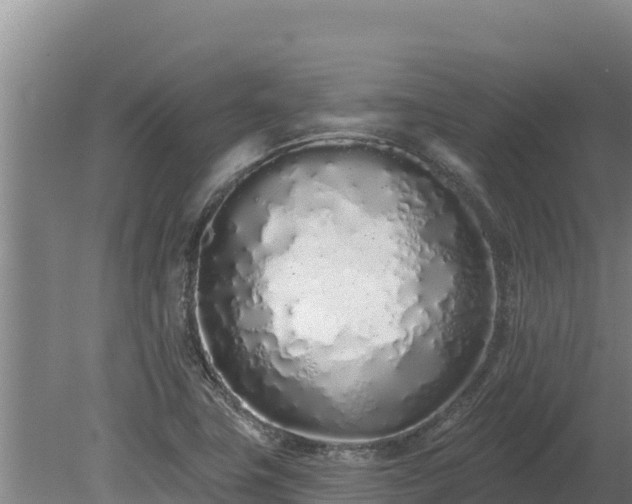 X0000080131411200612151726