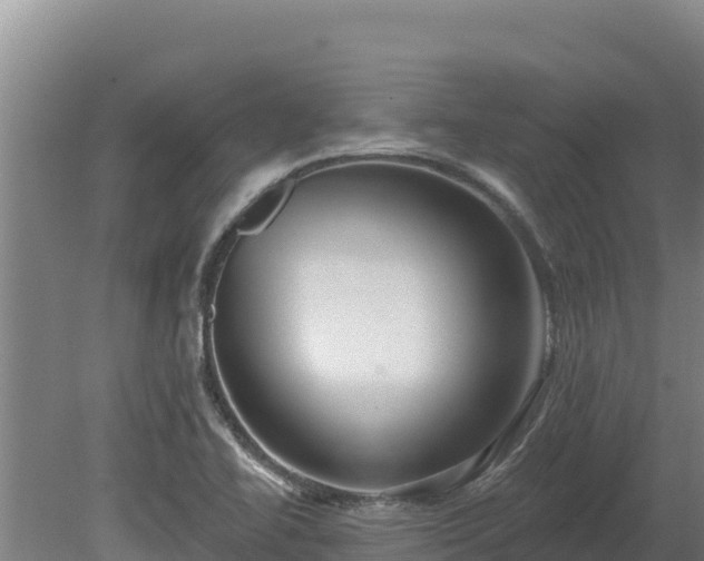 X0000080131414200612151727