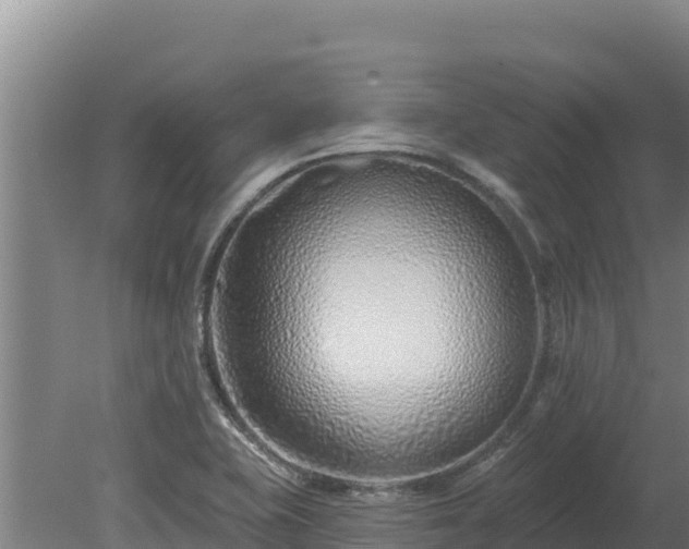 X0000080131415200612151727