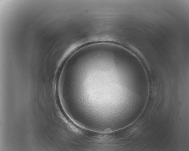 X0000080131416200612151727