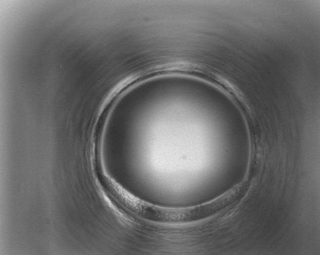 X0000080131418200612151727