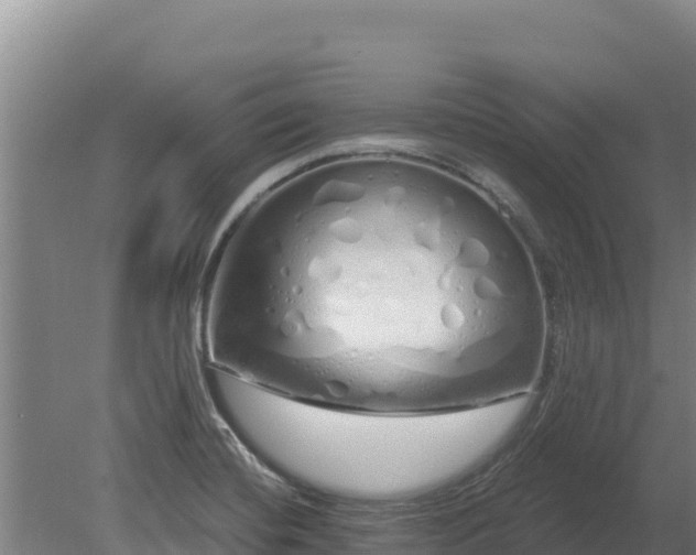 X0000080131420200612151727