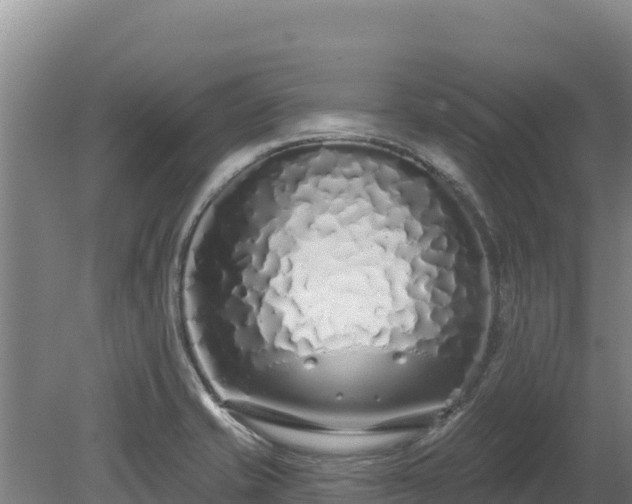 X0000080131421200612151727