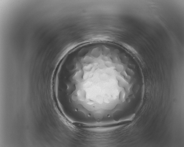 X0000080131423200612151727