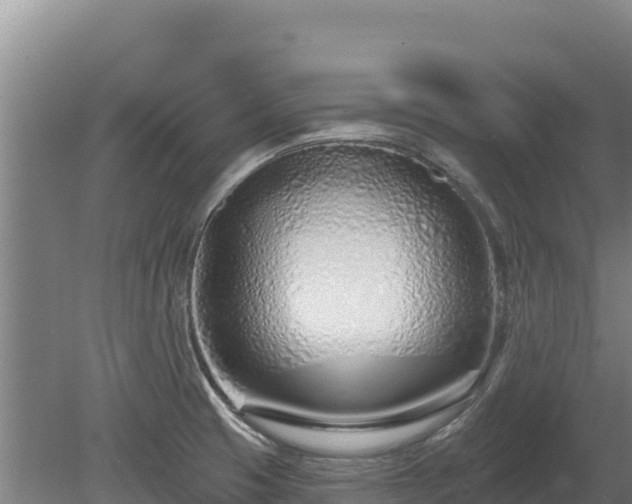 X0000080131425200612151727