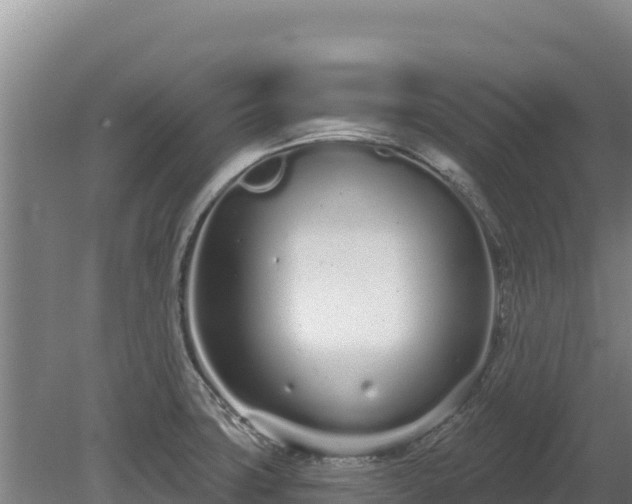 X0000080131427200612151727