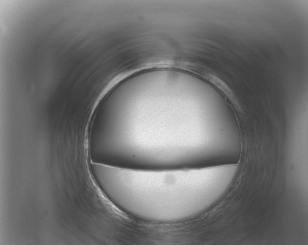 X0000080131428200612151727