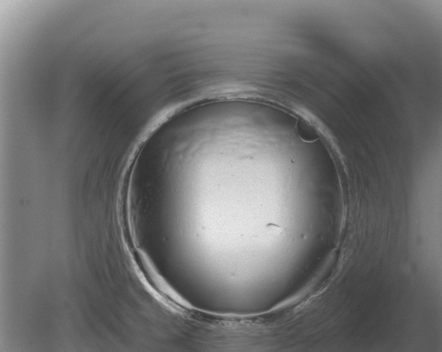 X0000080131429200612151727