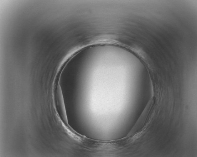 X0000080131430200612151727