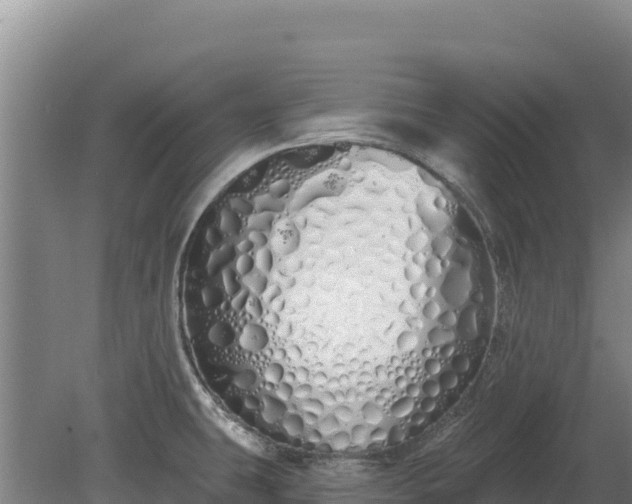 X0000080131431200612151727