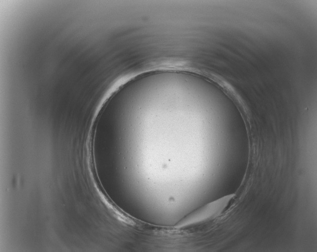 X0000080131432200612151727