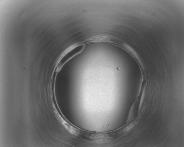 X0000080131434200612151727