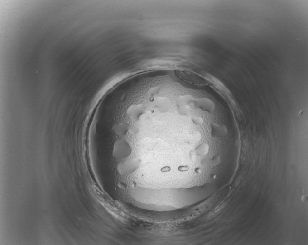 X0000080131435200612151727