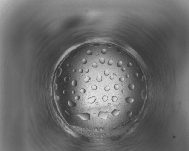 X0000080131436200612151727