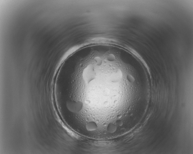 X0000080131437200612151727