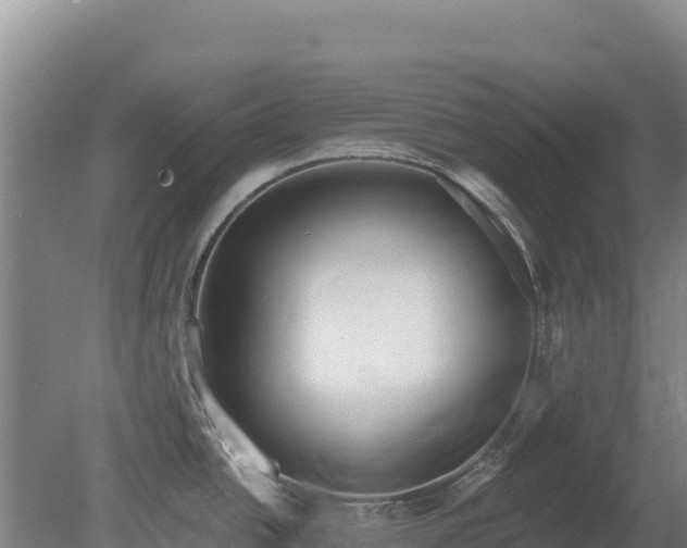 X0000080131438200612151727