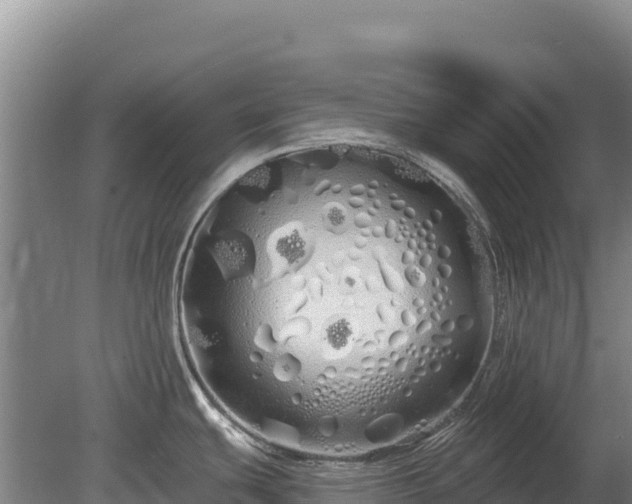 X0000080131439200612151727