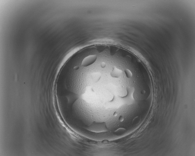 X0000080131440200612151727