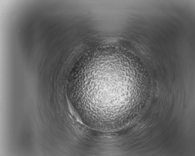 X0000080131441200612151726