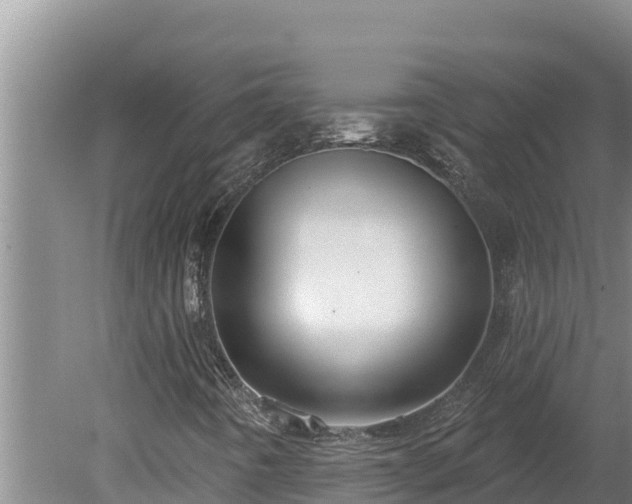 X0000080131442200612151726